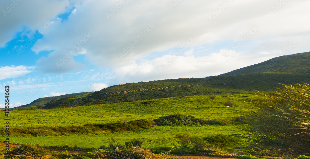 Obraz premium green hills under a blue sky with soft clouds