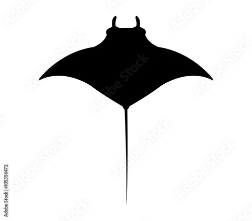 manta in vector on white background