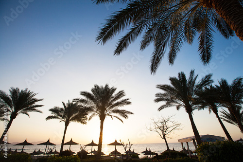 Beautiful sunset at a beach resort in tropics with palms and wat © 4Max