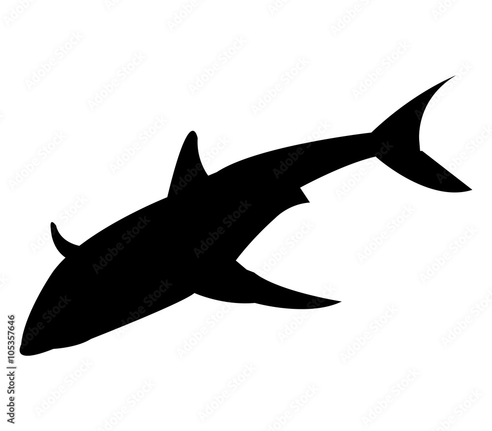Obraz premium Shark in vector on white background