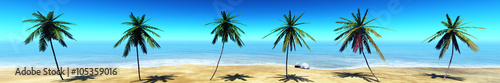Panorama of tropical beach  palm trees on the beach  seascape