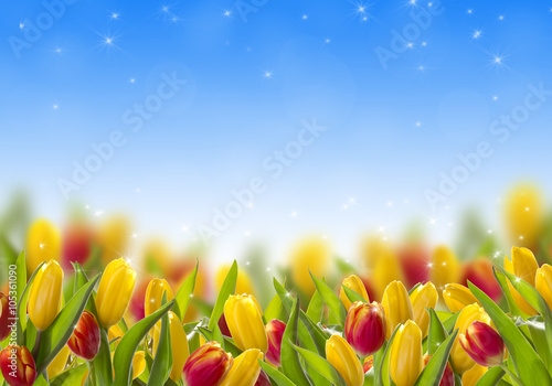 Fototapeta Naklejka Na Ścianę i Meble -  Postcard with spring tulips