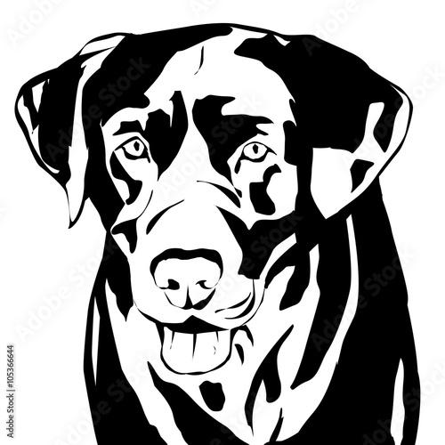 Vector silhouette of a dog.