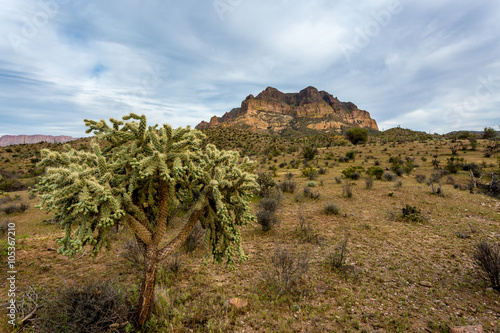 Arizona Landscapes