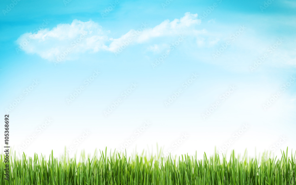 Abstract sunny spring background