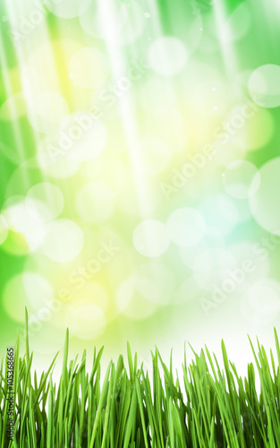 Sunny spring background with grass and bokeh