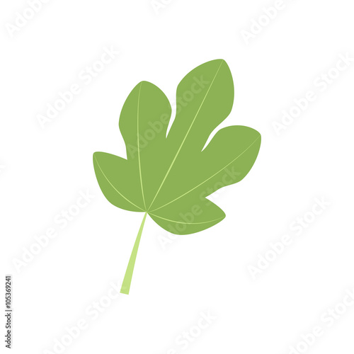 Fig Leaf Icon