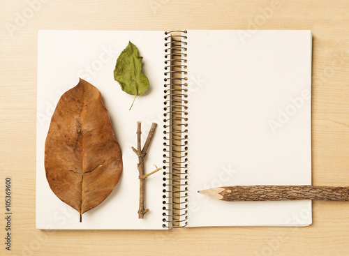 Obraz na płótnie Natural observer, Notebook, pencil with leafs and twig