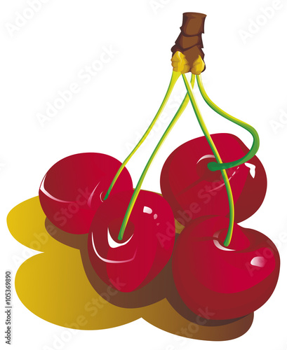 cerises fraîche