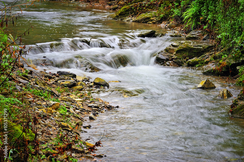 mountain river with stones and greenery