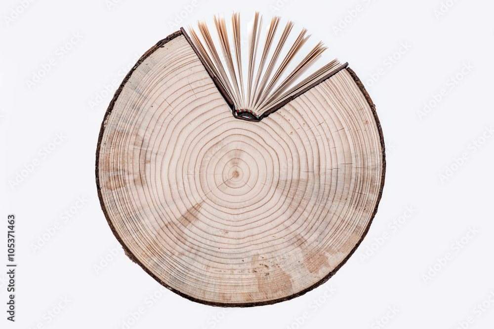 Conceptual image. Cross section of tree trunk and book on white background.