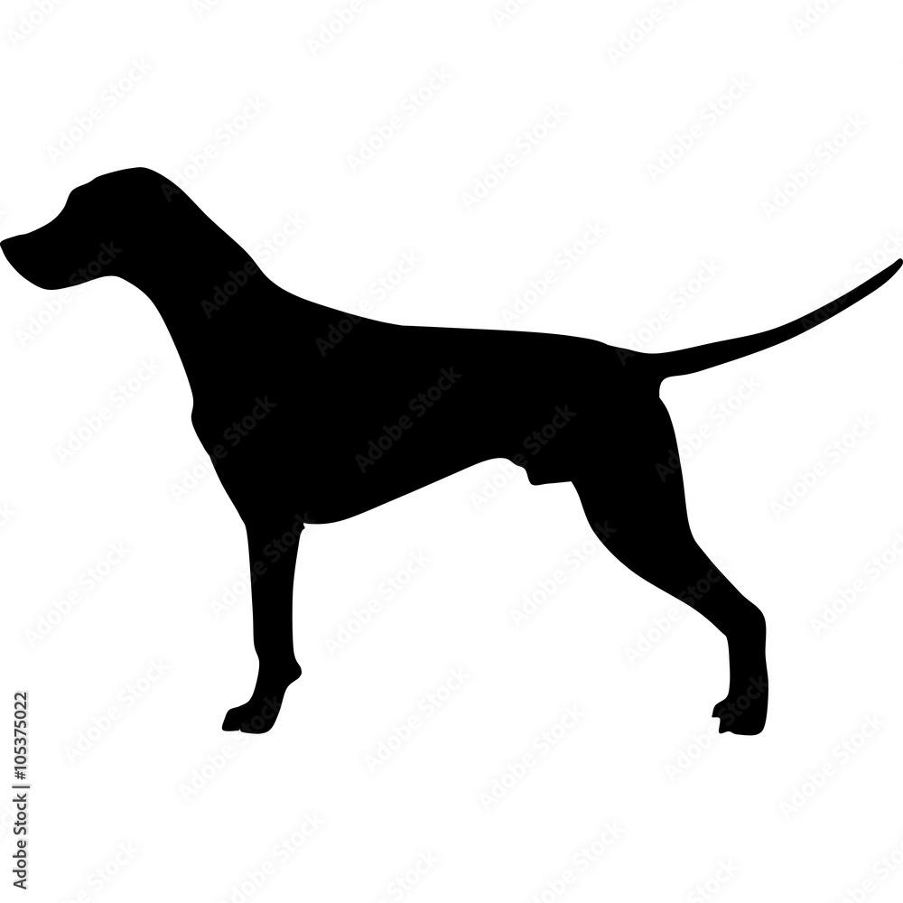 silhouette of a dog-vector 