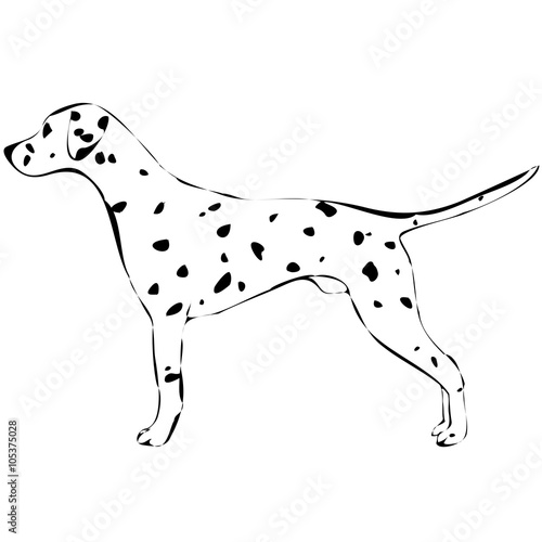 silhouette of a dog-vector 