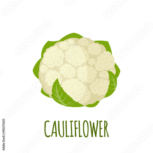 Cauliflower icon in flat style on white background photo