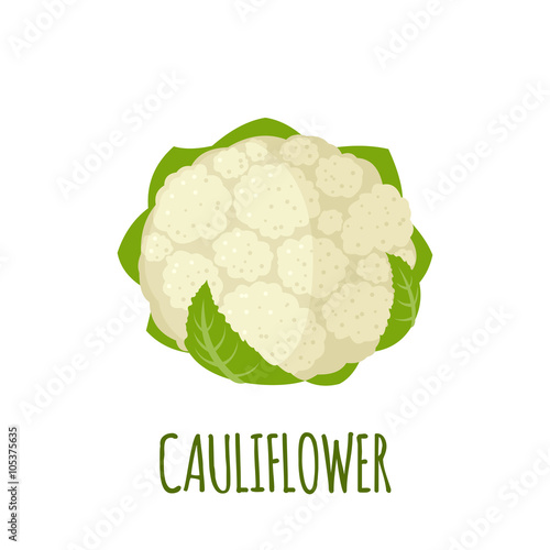Cauliflower icon in flat style on white background