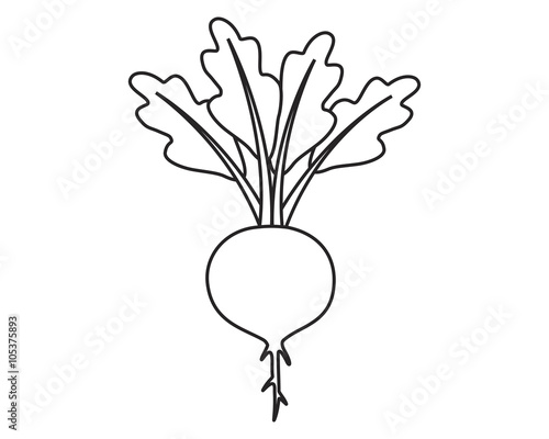 Line icon beet with leaves. Vector illustration.