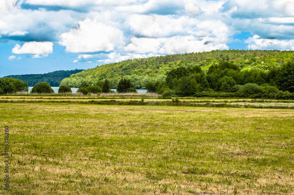 Agricultural green field in the summer, landscape Agricultural green field in the summer, landscape