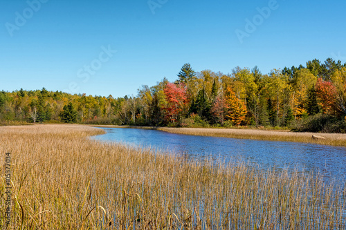 Fall colors accentuate the shorline of the Chippewa River in northern Wisconsin. photo