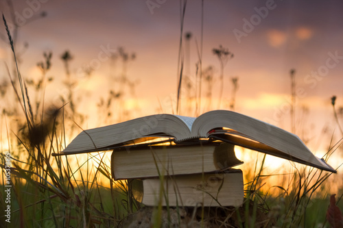 Opened hardback book diary  fanned pages on blurred nature lands