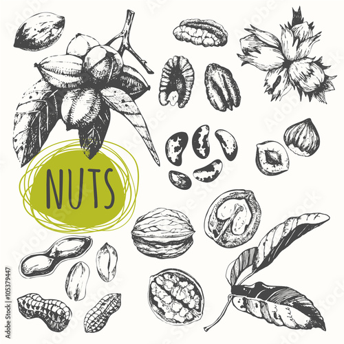 Set of hand drawn nuts. Black and white sketch food. 
