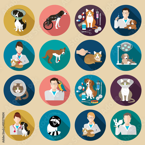 Veterinary icon flat set.  Vet clinic, pets and doctor isolated on background. Vector illustration