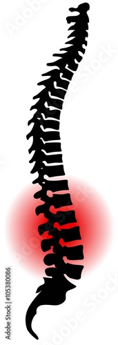 Wirbelsäule