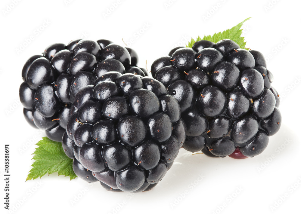 Blackberries isolated on white background Blackberries isolated on white background