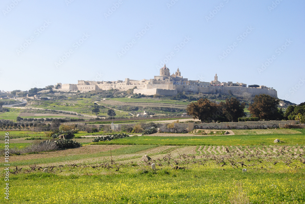 Obraz premium View of Mdina, Malta.