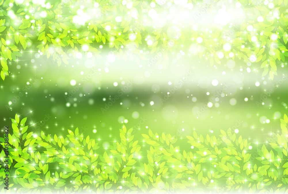 葉 新緑 木 背景 葉 新緑 木 背景