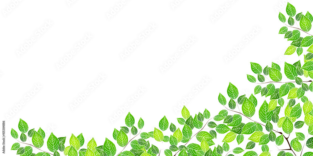 葉 新緑 木 背景 葉 新緑 木 背景