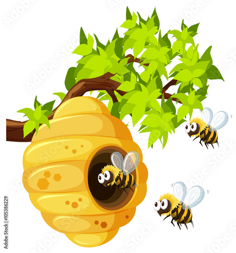 Bees flying around beehive