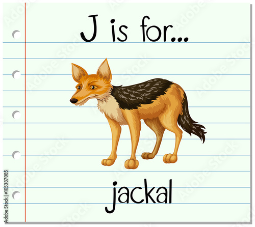 Flashcard letter J is for jackal photo