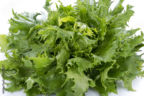 Принти на полотні Fresh lettuce batavia ice queen