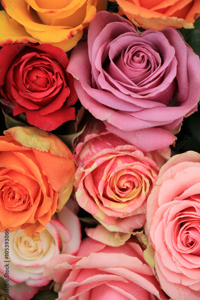 Multicolored wedding roses Multicolored wedding roses