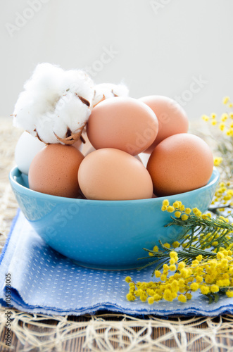 Eggs in blue bowl, cotton flowers and mimosa