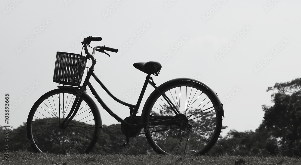 Vintage bicycle waiting near tree, Style black and white