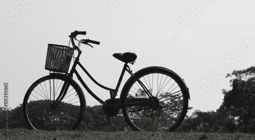 Fototapeta Naklejka Na Ścianę i Meble -  Vintage bicycle waiting near tree, Style black and white
