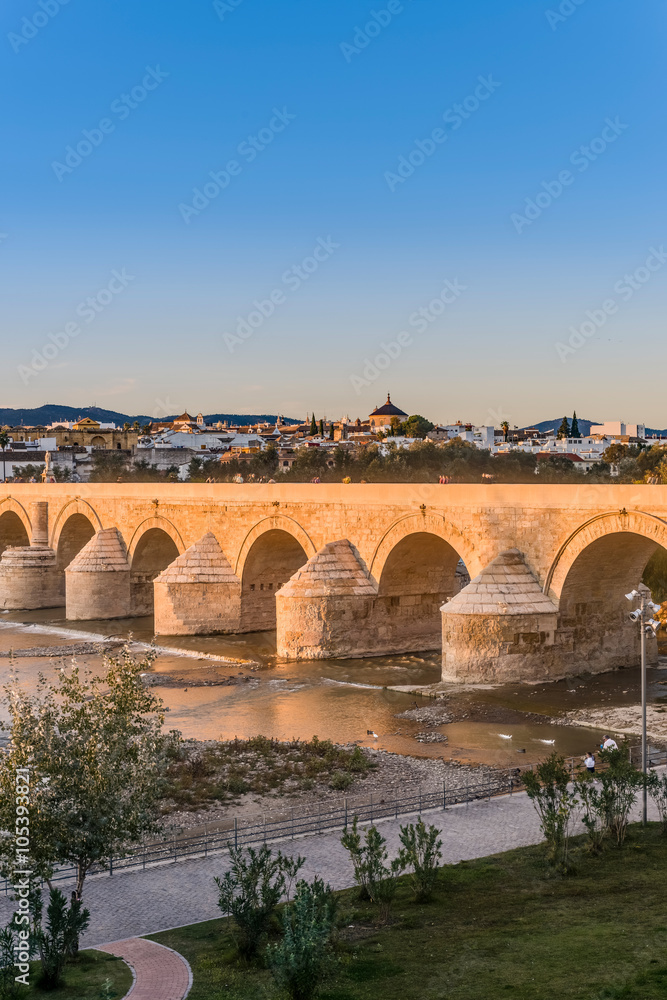 Fototapeta premium Roman bridge in Cordoba, Andalusia, southern Spain.