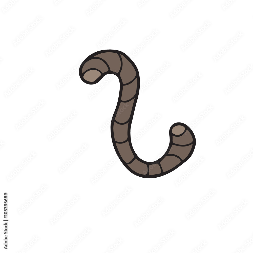 Fototapeta premium Animal earth worm