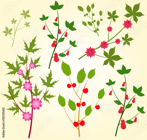 Wallpaper Mural Colorful floral collection with leaves and flowers Spring or summer design for invitation, wedding or greeting cards Torontodigital.ca