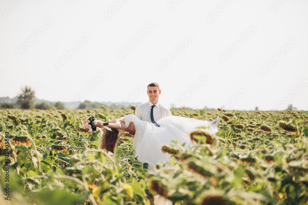 Wedding couple kissing and posing in a field of sunflowers Wedding couple kissing and posing in a field of sunflowers