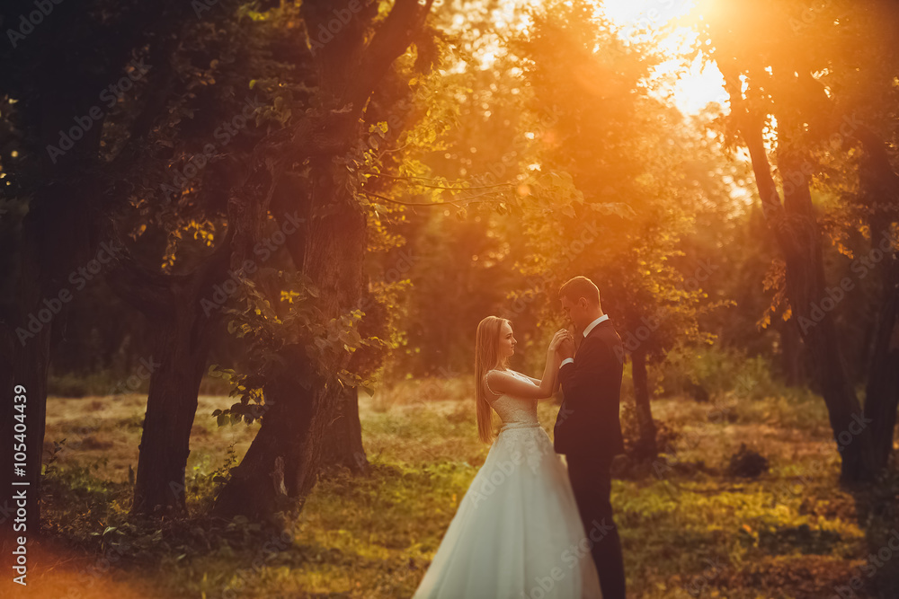 Beautiful romantic wedding couple of newlyweds hugging in park on sunset Beautiful romantic wedding couple of newlyweds hugging in park on sunset