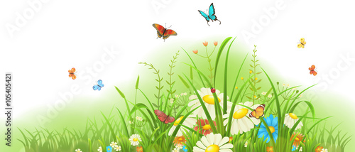 Spring and summer meadow banner with grass, colorful flowers and butterflies