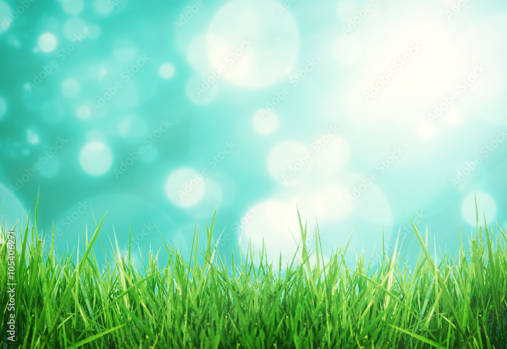 close up fresh spring green grass panorama