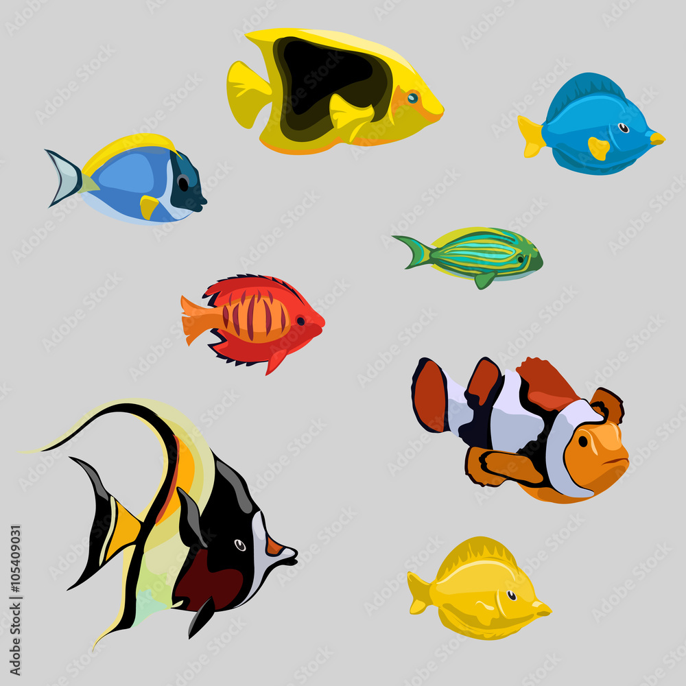 Collection of tropical and deep-sea fish Collection of tropical and deep-sea fish
