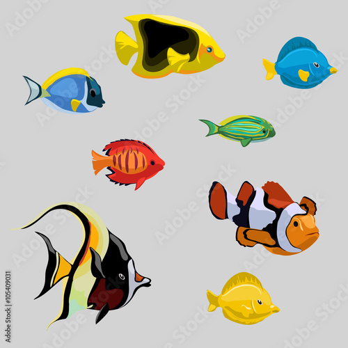 Collection of tropical and deep-sea fish