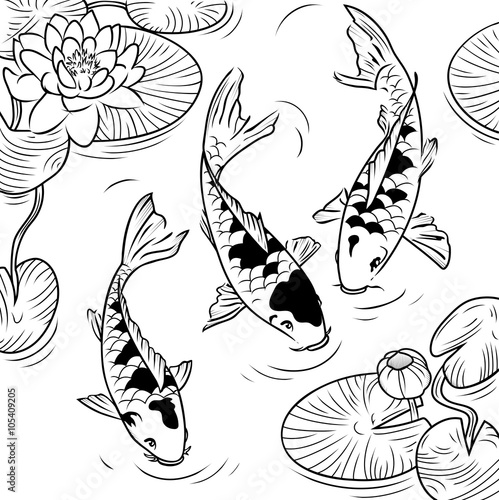 Koi-fish