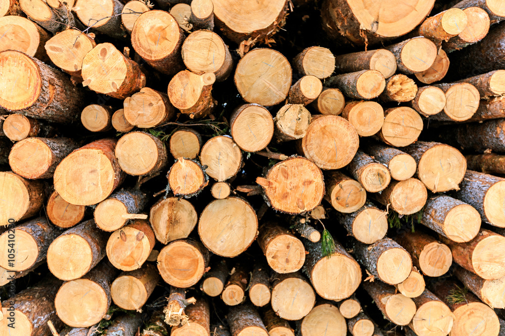 logs closeup, pine logs, russian winter logs closeup, pine logs, russian winter