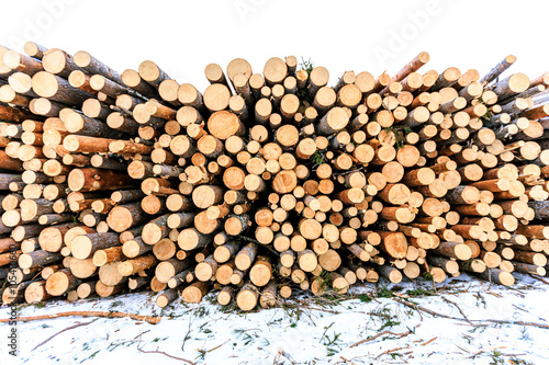 logs closeup  pine logs  russian winter