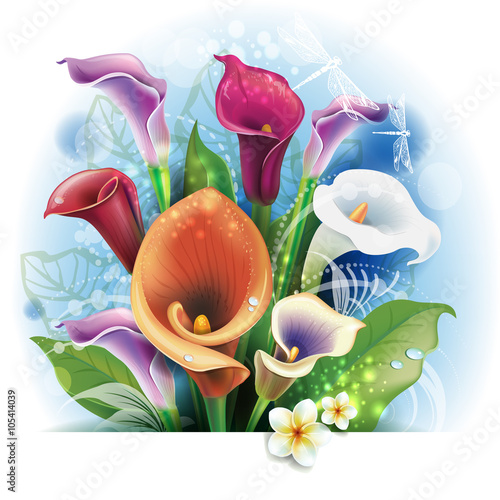 Bouquet of Calla lilies